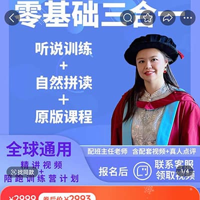 肖恩索菲初级英系原版规划三合一系统课【完结】