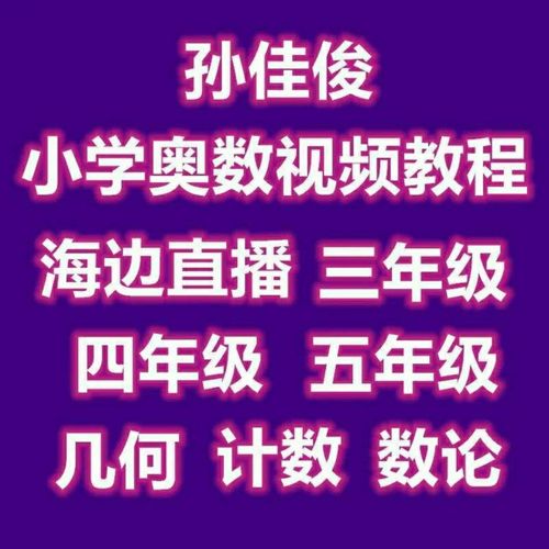 孙佳俊小学3—5年级数学奥数视频课