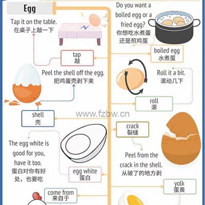 见物能聊《趣味英语100说》【完结】