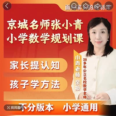 京城名师张小青小学数学规划课【完结】