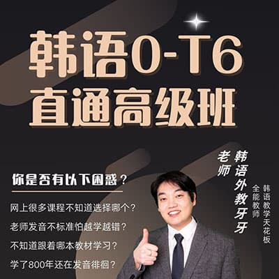 牙牙延世韩语1—6；韩语中高级TOPIK Ⅱ；网课讲义全套【完结】