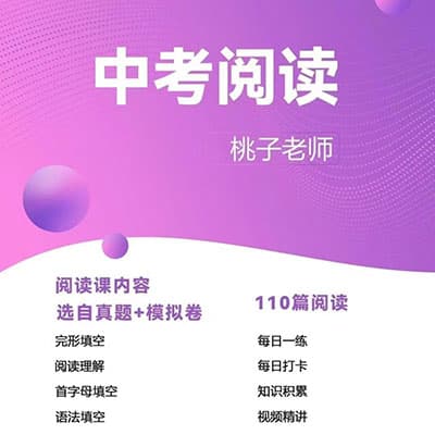 桃子老师中考英语阅读网课讲义【完结】
