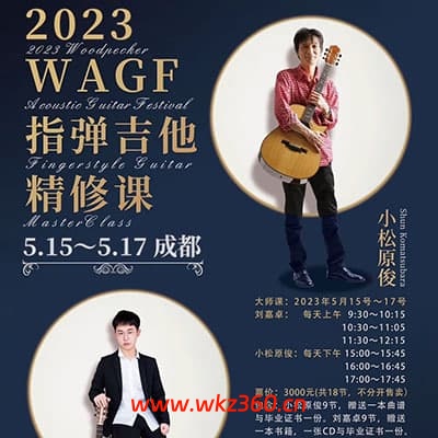 刘嘉卓 指弹吉他初级中级高级【完结】